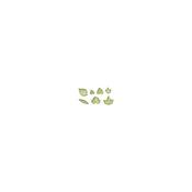 JEM Foliage Cutters - Mixed Leaves Set 2 Set of 7