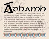 Ádhamh - Celtic Name Print | Fine Art Print image