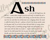 Ash - Celtic Name Print | Fine Art Print - 8x10" (20x25 cm)