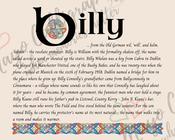 Billy - Irish Name - Fine Art Print - 16x20" (40x50 cm) image