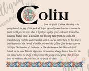 Colin - Celtic Name Print | Digital Download image