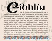Eibhlín - Celtic Name Print | Fine Art Print - 16x20" (40x50 cm) image