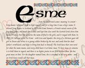 Esme - Irish Name - Fine Art Print - 16x20" (40x50 cm) image