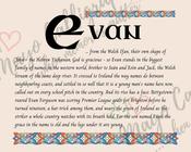 Evan - Celtic Name Print | Fine Art Print - 16 x 20 inches