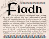 Fiadh - Celtic Name Print | Fine Art Print image