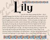 Lily - Celtic Name Print | Fine Art Print image