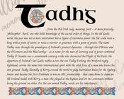 Tadhg - Celtic Name Print | Fine Art Print