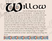 Willow - Celtic Name Print | Fine Art Print image