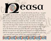Neasa - Celtic Name Print | Digital Download