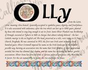 Olly - Celtic Name Print | Fine Art Print image