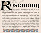 Rosemary - Celtic Name Print | Digital Download image