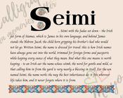 Seimi - Celtic Name Print | Fine Art Print - 16x20" (40x50 cm)
