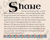 Shane - Celtic Name Print | Fine Art Print - 16x20" (40x50 cm) image
