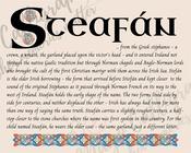 Steafán - Celtic Name Print | Digital Download image
