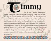 Timmy - Celtic Name Print | Digital Download