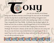 Tony - Celtic Name Print | Fine Art Print - 16x20" (40x50 cm)