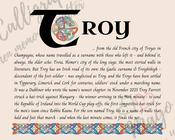 Troy - Celtic Name Print | Fine Art Print - 16x20" (40x50 cm)