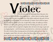 Violet - Irish Name - Fine Art Print - 8x10" (20x25 cm) image