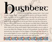 Hughbert - Irish Name - Fine Art Print - 16x20" (40x50 cm) image