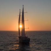 Sail Boat Brazil Organic