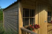 Window Boxes 1ft