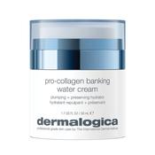 Dermalogica Pro-Collagen Banking Water Cream image