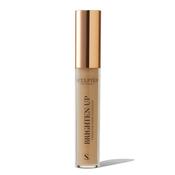 Sculpted by Aimee Brighten Up Liquid Concealer - 4.0 Golden