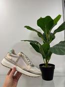 Carmela Gold Leather Trainer - 162268 image
