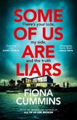 Some Of Us Are Liars image