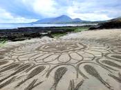 The Mayo Mandalas image