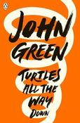 Turtles All the Way Down image