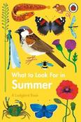 What to Look For in Summer image