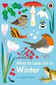 What to Look For in Winter image