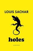 Holes image