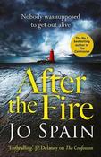 After the Fire: the latest Tom Reynolds mystery from the bestselling author of The Confession image