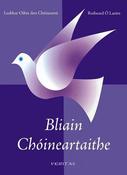Bliain Choineartaithe image