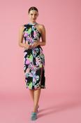 Minueto Danaus Dress 241102 - McMullans image
