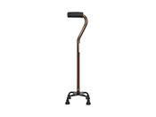 Quadripod Walking Stick image