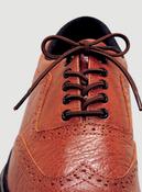 Elastic Shoelaces image