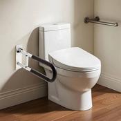 Tilting Toilet Handrail