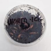 Micks Fresh Worms - 28g