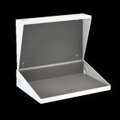 Wall Mounted Secure Laptop Cabinet (Single)