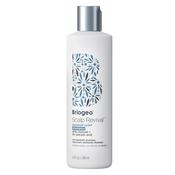 Briogeo Scalp Revival Charcoal + 3% Salicylic Acid Dandruff Relief Shampoo 248ml image