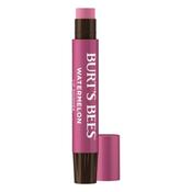 Burt's Bees Lip Shimmer image
