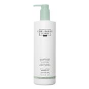 Christophe Robin Hydrating Shampoo with Aloe Vera Dull Dehydrated Hair image