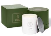 ESPA Winter Spice Candle 200g.