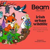 Irish Urban Wildlife - Activity Book &amp; Giant Colouring Poster image