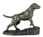 Labrador