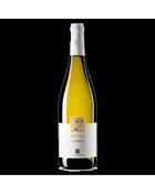 "Kriya"  Pecorino  Vignamadre