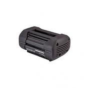Honda 36V Batteries &amp; Charger